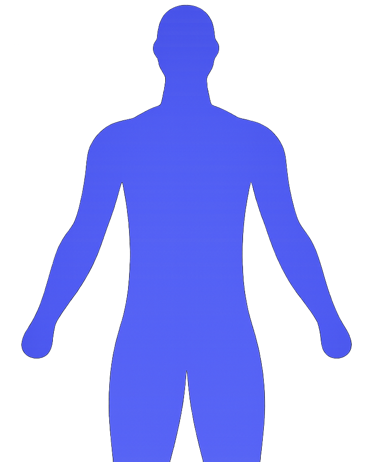 Body illustration